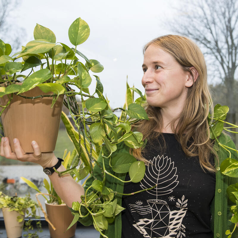 Sofie Faes
