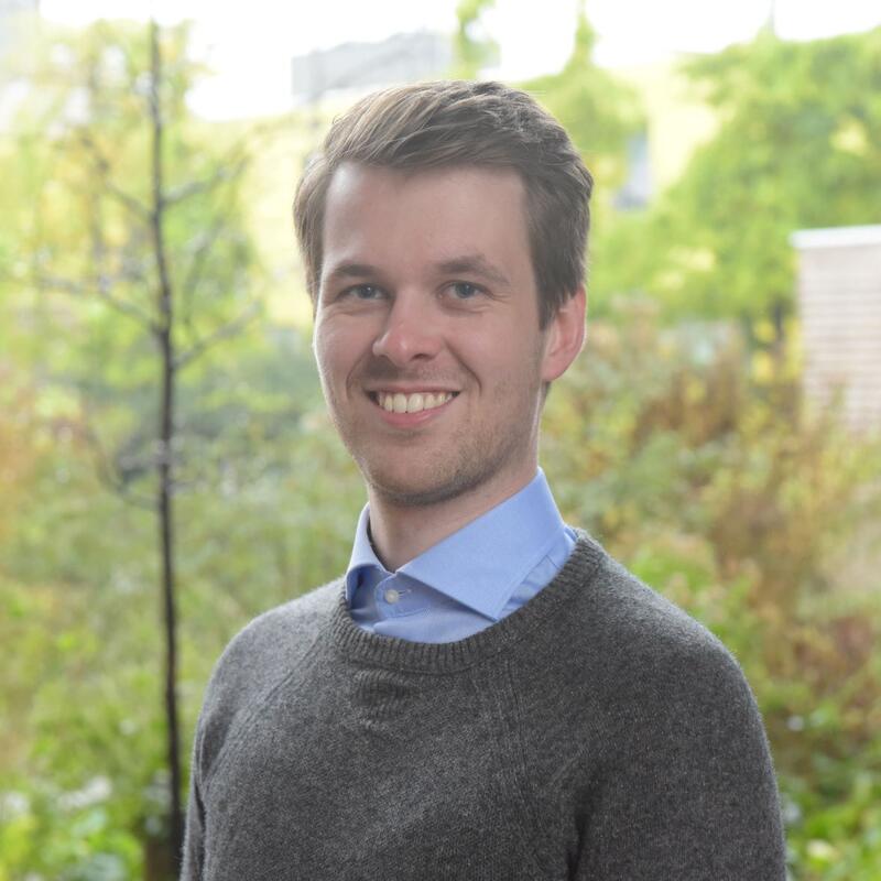 Rutger Rauws, Raadslid