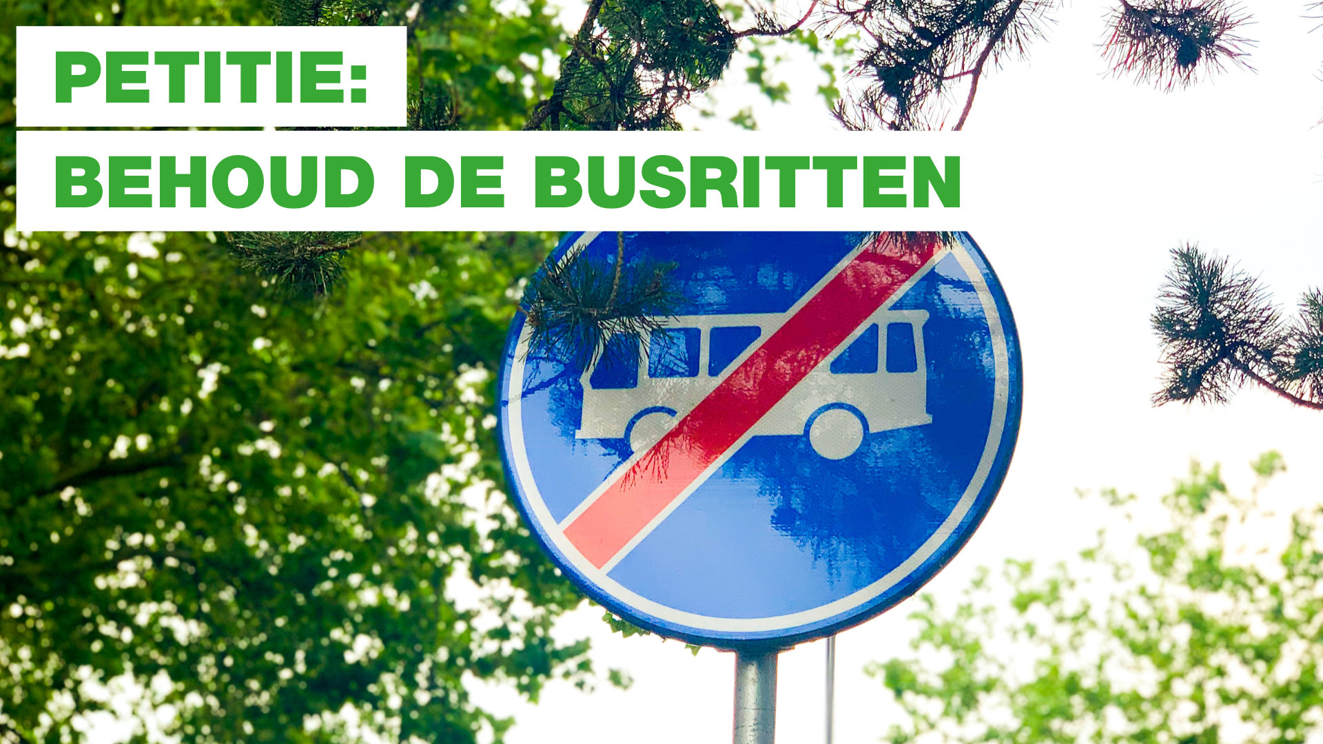 Petitie busritten 