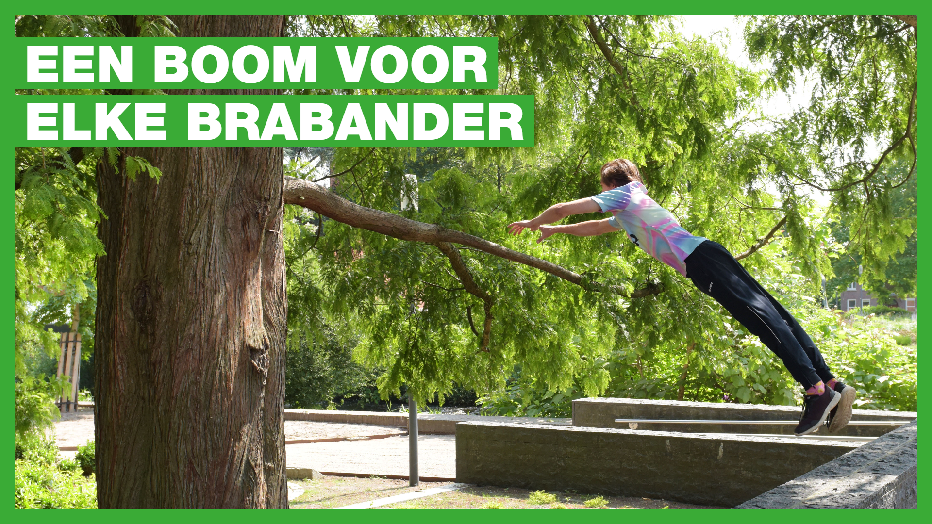 Grote boom. Jongen springt tijdens het freerunnen naar de boom toe. Als tekst staat erbij: Een boom voor elke Brabander.